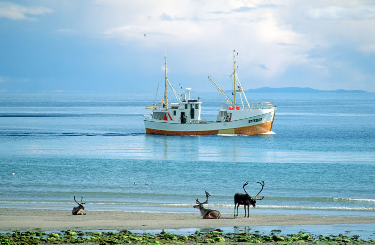 Strandliv i Varanger © Bjarne Riesto