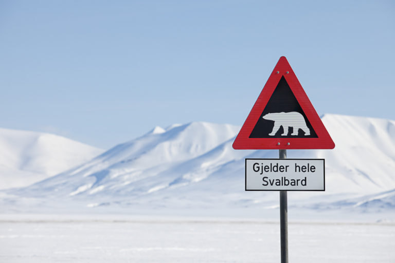 Do not leave town without a guide or a gun © Jarle Røssland