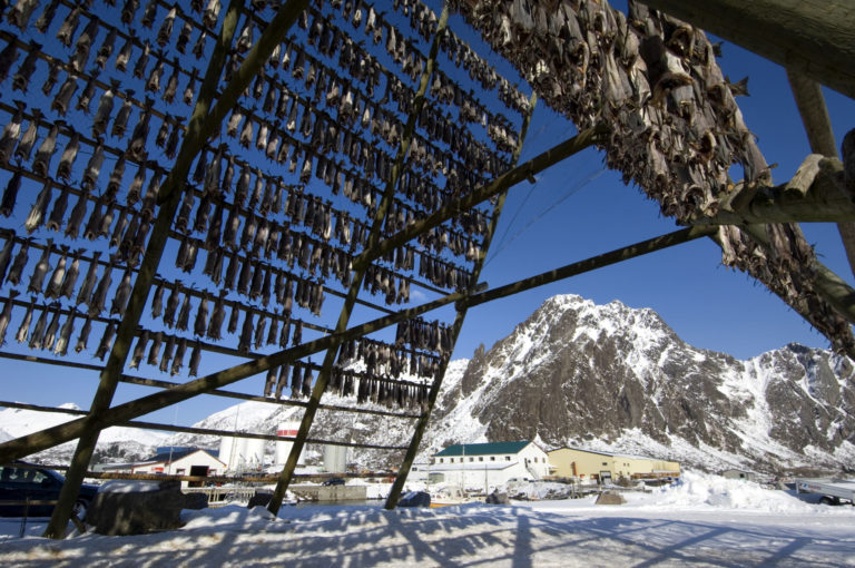 Racks used for dried fish in Lofoten © Terje Rakke