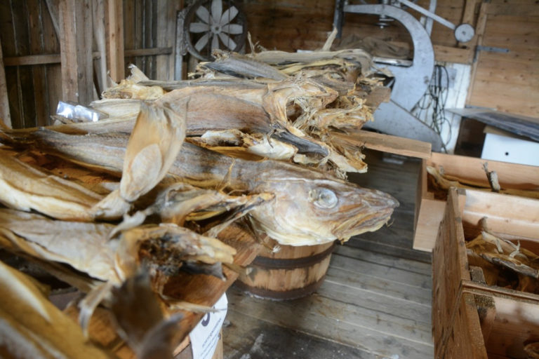 Stockfish at the Lofoten Stockfish Museum © Knut Hansvold