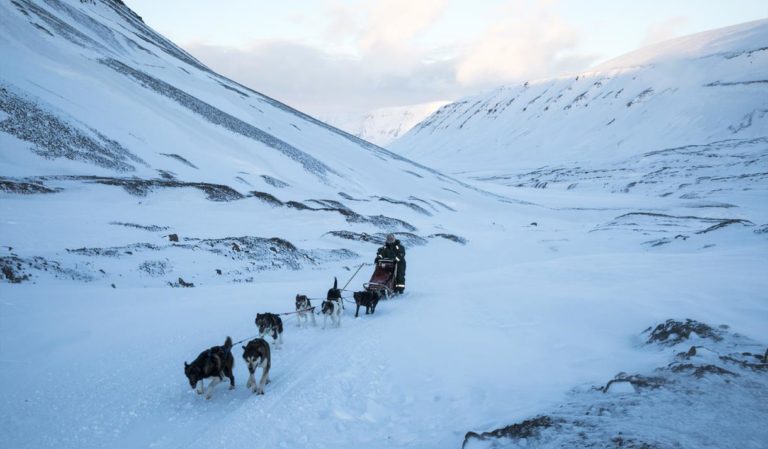 Dogsledding in the majestic landscape of Svalbard © Ella Pellegrini