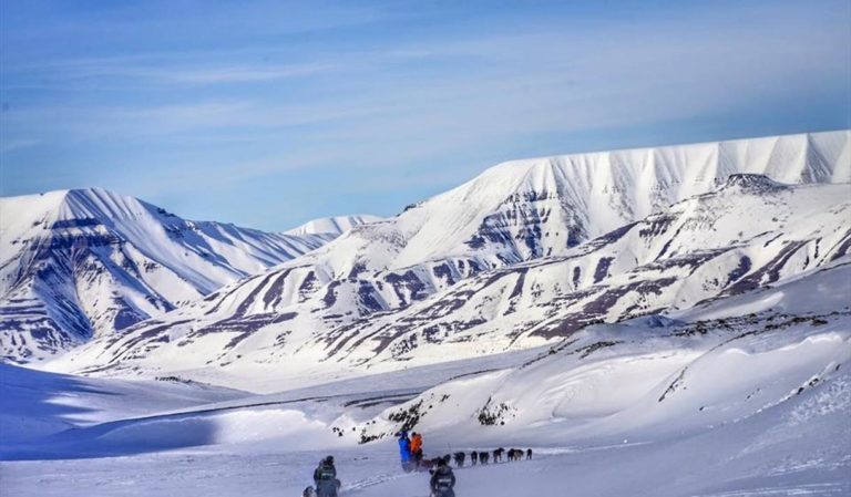 Hundekjøring i magisk landskap © Eric Soehngen